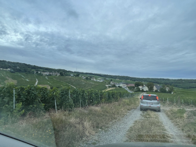 Sint-Martinus den XIIde - Grootkamp JIN